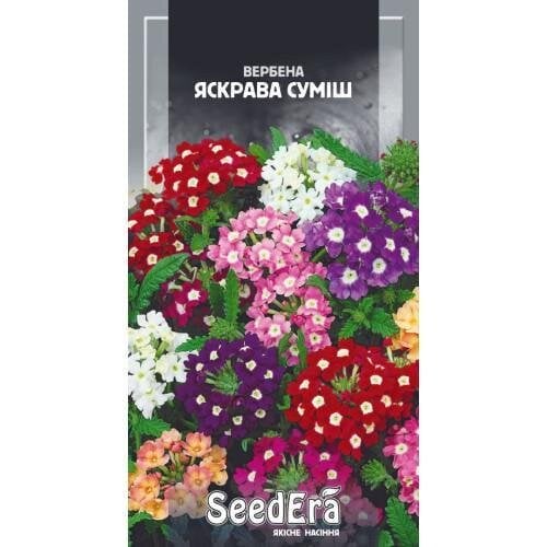 Семена цветов Вербена Гибридная Яркая смесь Семейный сад 0,2 г (CS-0963)