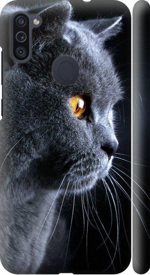 Чехол на Samsung Galaxy M11 M115F Красивый кот (3038m-1905-42517)