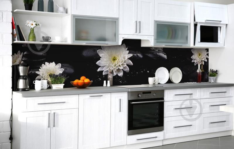 Скинали на кухню Zatarga «Контрастный георгин» 600х2500 мм виниловая 3Д наклейка кухонный фартук самоклеящаяся Скинали на кухню Zatarga «Контрастный георгин» 600х2500 мм виниловая 3Д наклейка кухонный фартук самоклеящаяся