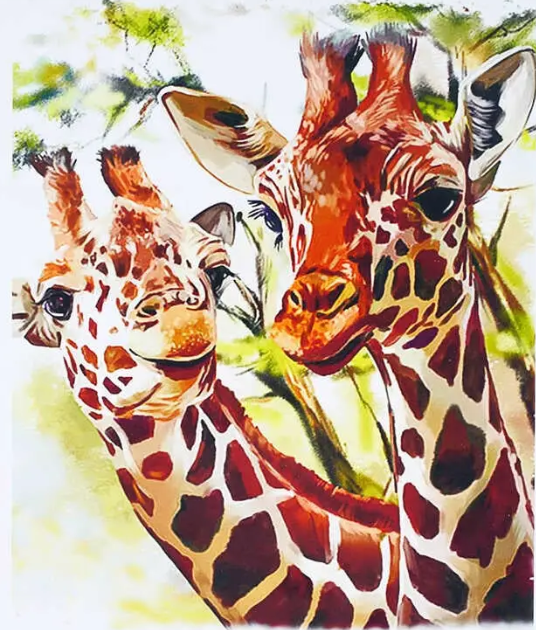 Алмазная мозаика Жирафы на холсте с подрамником 40х50 см (GA74726)
