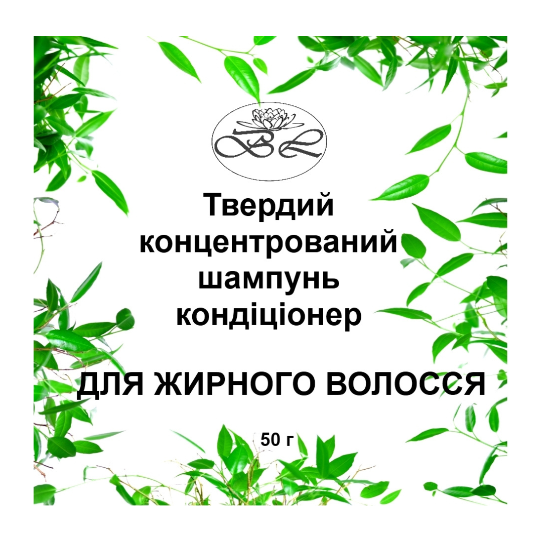 Шампунь натуральний твердий Bila Lileya для волосся 2в1 для жирного волосся (00357)