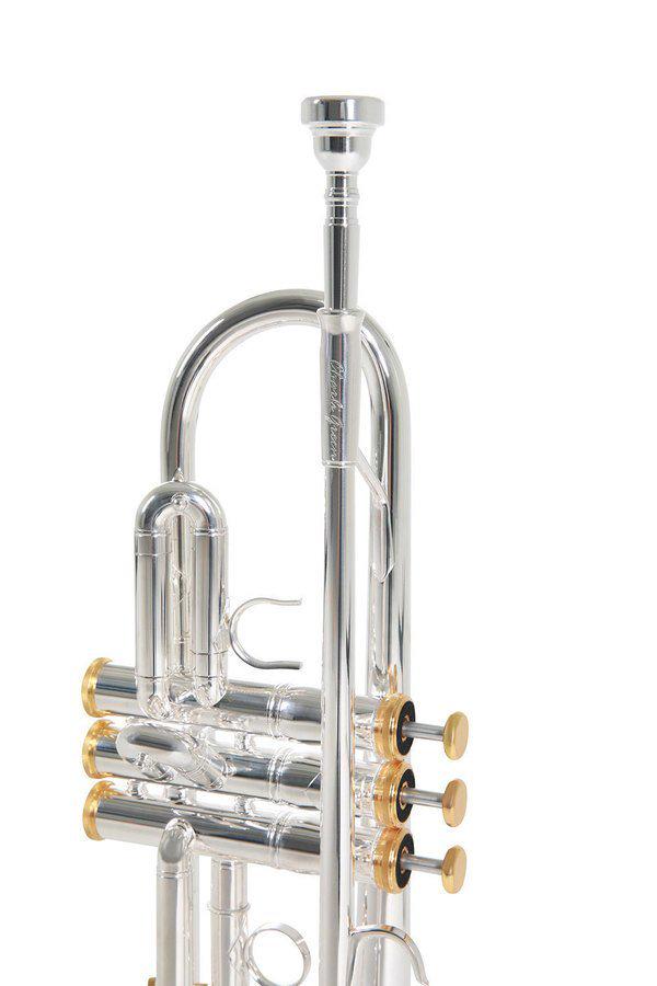 Труба Roy Benson Charli Green Signature Bb-Trumpet латунь (G-RB701087) - фото 8