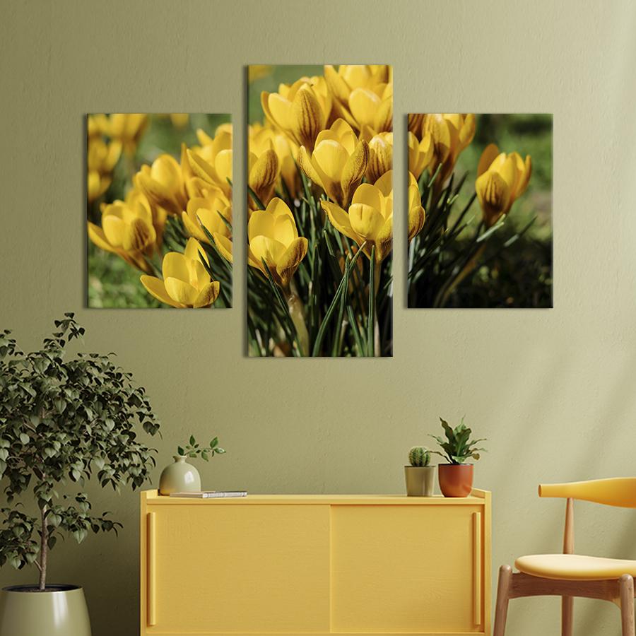 Картина на холсте триптих Жёлтые цветы крокусов 141x90 см (796-32)