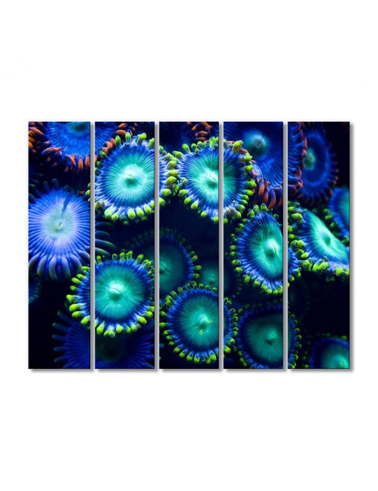 Картина модульная Подводные и водные растения 5 модулей 80x120 см