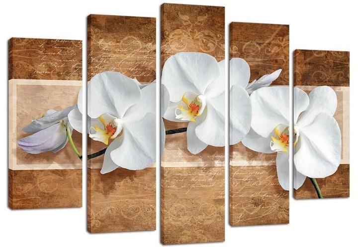Картина модульная на холсте DK Ветвь орхидеи 108х80 см (PLM5-147)