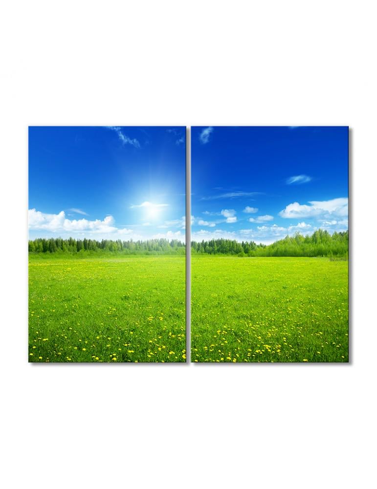 Картина модульная Солнечные лучи над полевыми цветами 2 модуля 80x120 см