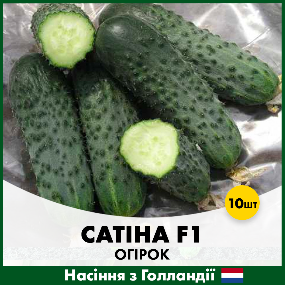 Семена огурца Nunhems Сатина F1 10 шт. (00215)