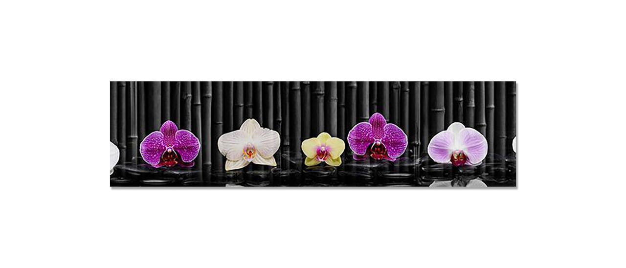 Наклейка виниловая на кухню Zatarga Орхидеи и Черный бамбук 650х2500 мм (1283915603) Наклейка виниловая на кухню Zatarga Орхидеи и Черный бамбук 650х2500 мм (1283915603)