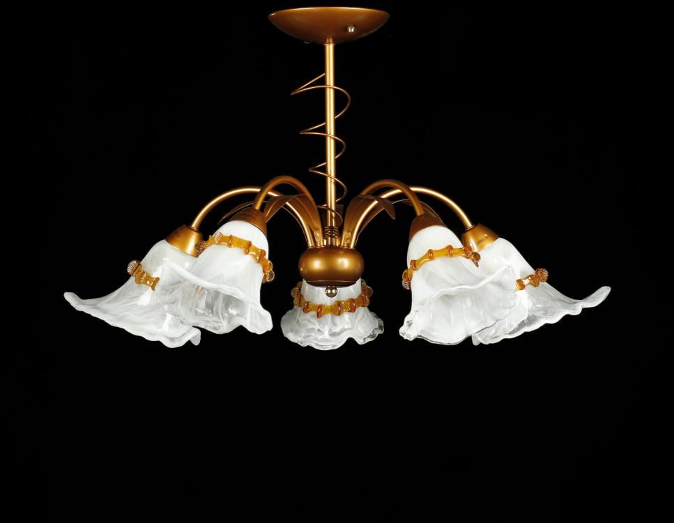 Люстра с плафонами Ray L88825/5 (IR005845)