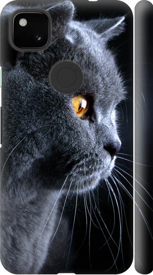 Чехол на Google Pixel 4A Красивый кот (3038m-1935-42517) Чехол на Google Pixel 4A Красивый кот (3038m-1935-42517)