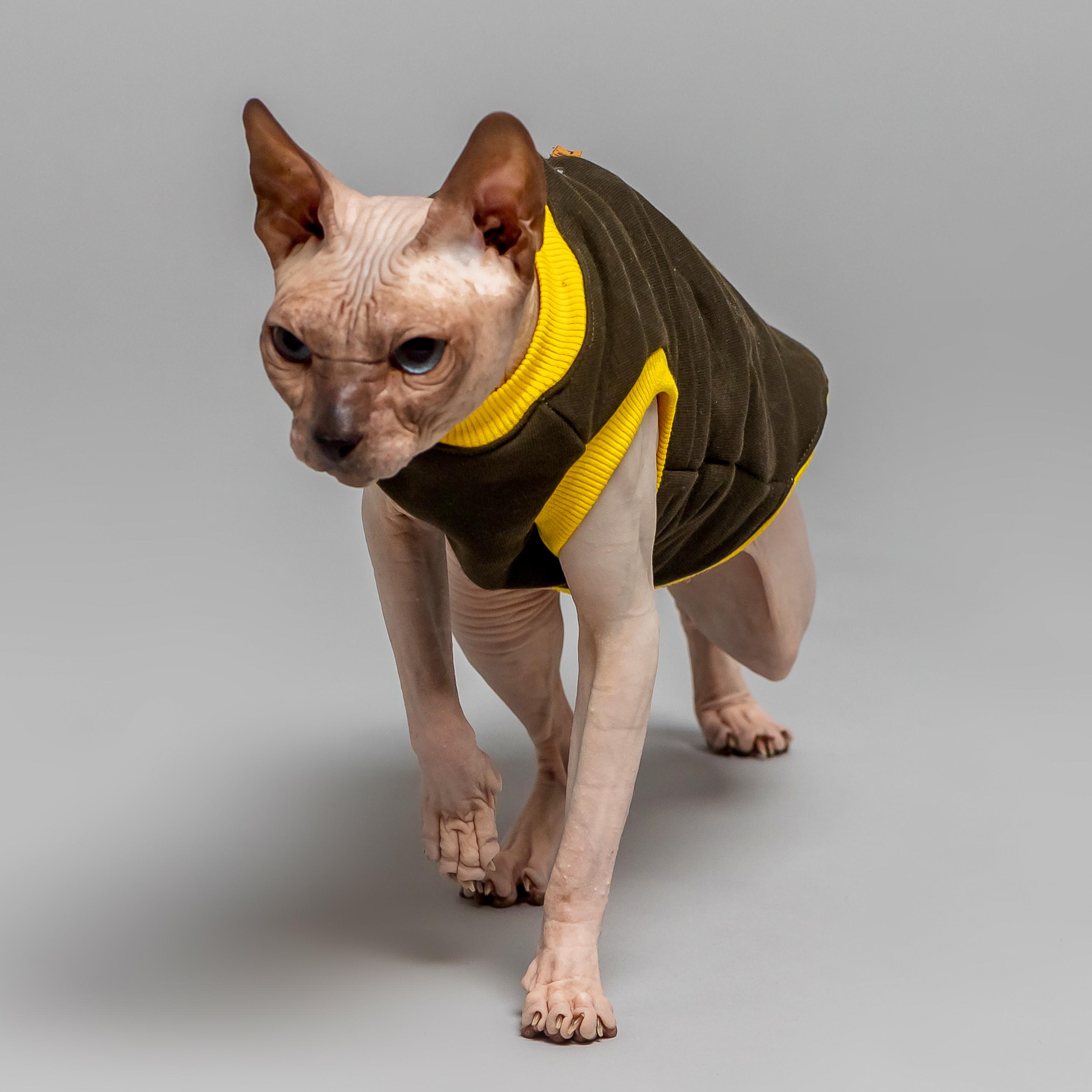 Кофта для котів без рукавів тепла Style Pets CLASSIC XL Khaki (420XL) - фото 4