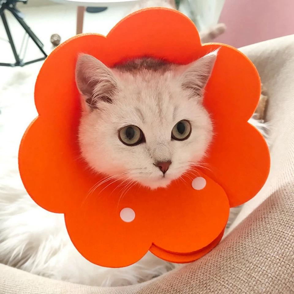 Воротник-ошейник для заживления ран собак и кошек Flower XS Orange - фото 3