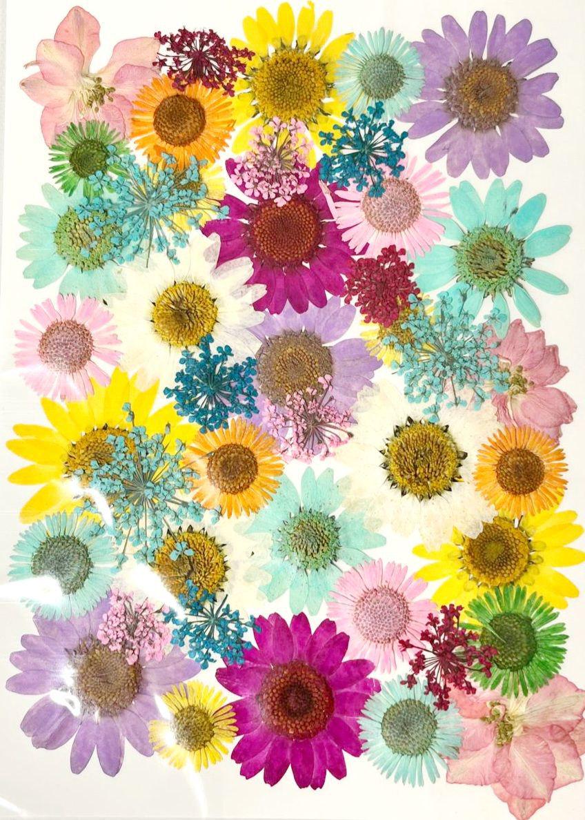 Сухоцвет набор №7 для творчества для ювелирных изделий из эпоксидной смолы 40 шт. (С-032/7)