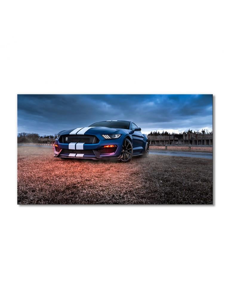 Картина модульная Синий Форд Мустанг Шелби GT500 1 модуль 80x120 см