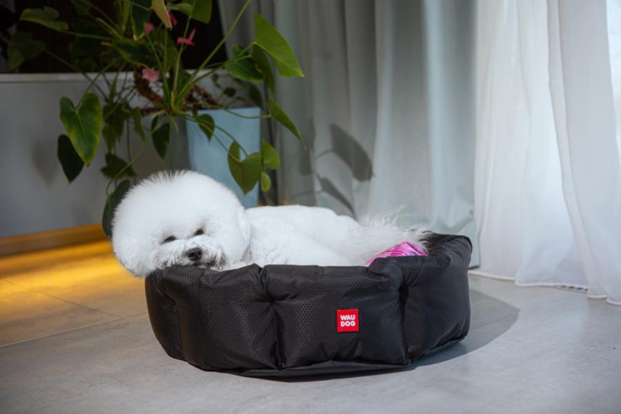 Лежак для собак та котів Waudog Relax Чудо-жінка зі змінною подушкою S 34х45 см В 17 см Black (224-2007) - фото 4 Лежак для собак та котів Waudog Relax Чудо-жінка зі змінною подушкою S 34х45 см В 17 см Black (224-2007) - фото 4