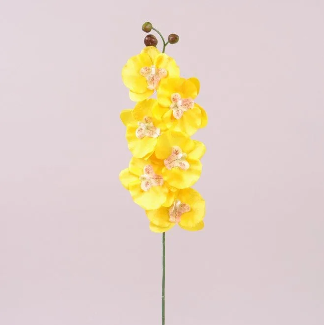 Цветок Фаленопсис Flora 6 шт. Желтый (72874)