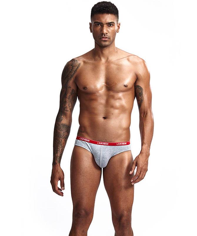 Трусы Lanvibum L Серый (5519)