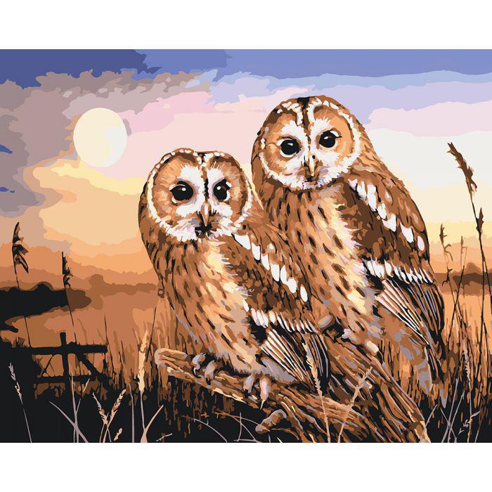 Картина по номерам Идейка Совы 40x50 см (skl-КНО4026)