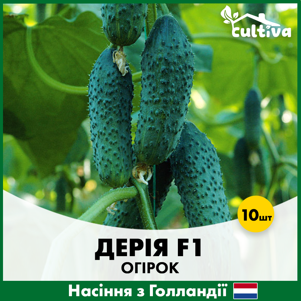 Семена огурца Enza Zaden Дерия F1 10 шт. (432)
