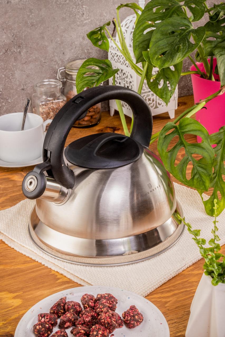 Чайник со свистком Edenberg EB-1347 из нержавеющей стали 3 л (57-46-EB-1347) - фото 4 Чайник со свистком Edenberg EB-1347 из нержавеющей стали 3 л (57-46-EB-1347) - фото 4