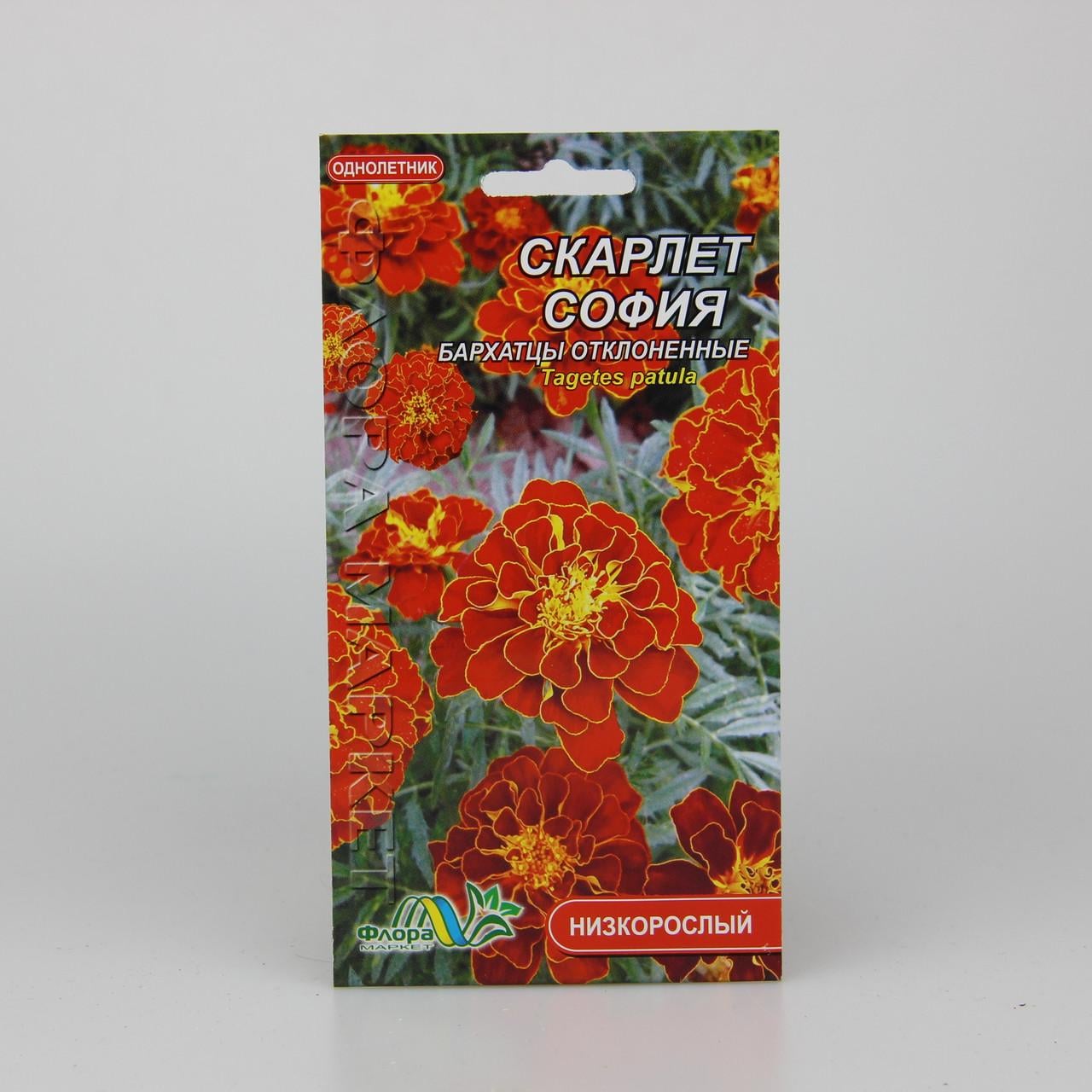 Семена Бархатцы Скарлет София 0,1 г (26180)