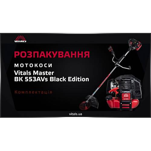 Мотокоса Vitals Master BK 553AVs Black Edition (10613081) - фото 6