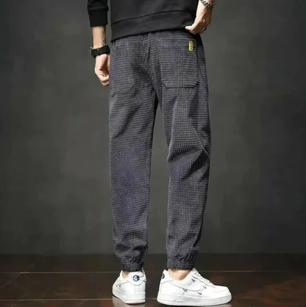 Штани чоловічі вельветові М Сірий (D00036-4) - фото 2 Штани чоловічі вельветові М Сірий (D00036-4) - фото 2