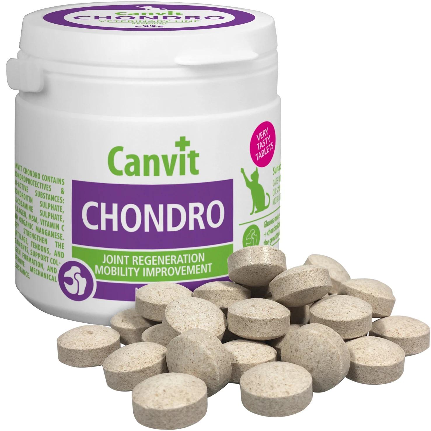 Комплекс витаминно-минеральный для котов Canvit Chondro 100 г (can50743)
