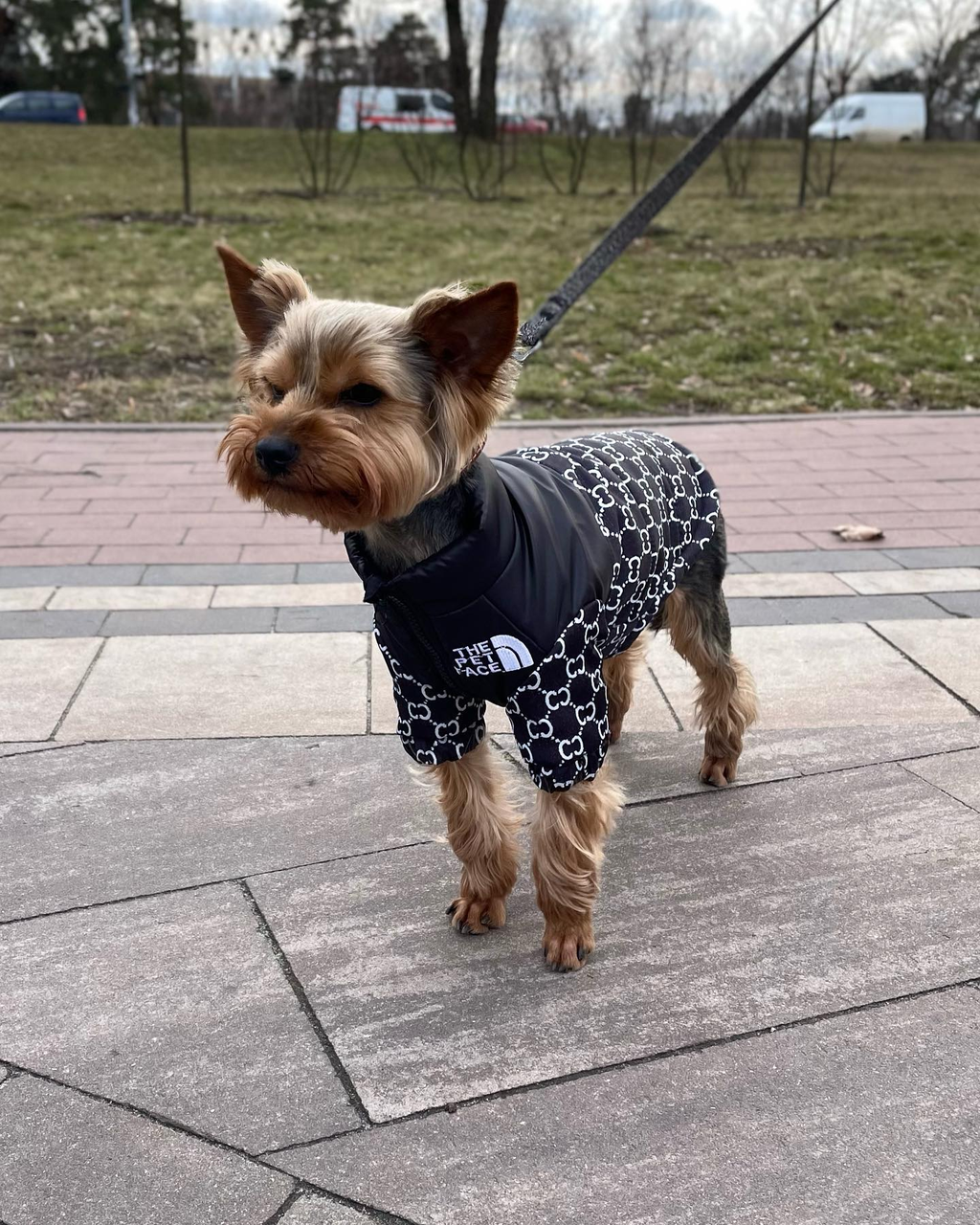 Жилет для собак теплый с надписью "The Pet Face" S Черный