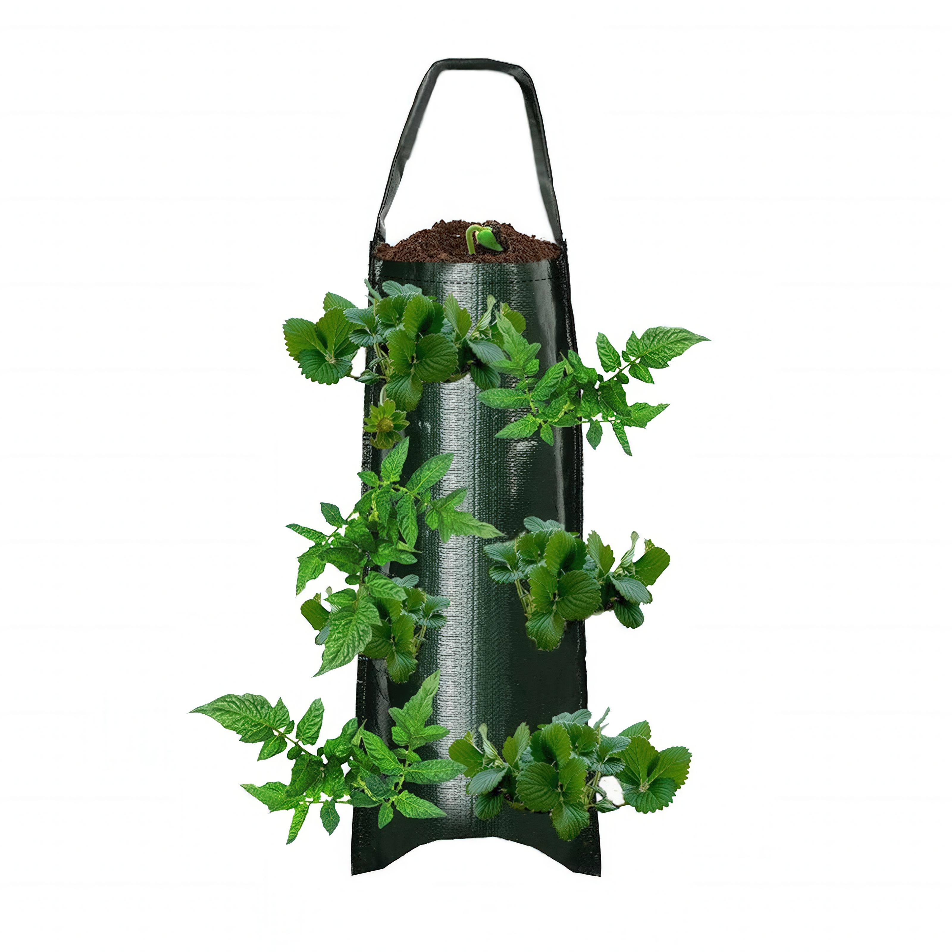 Підвісний мішок для вирощування рослин/ягід/овочів та квітів багаторазовий - фото 6 Підвісний мішок для вирощування рослин/ягід/овочів та квітів багаторазовий - фото 6