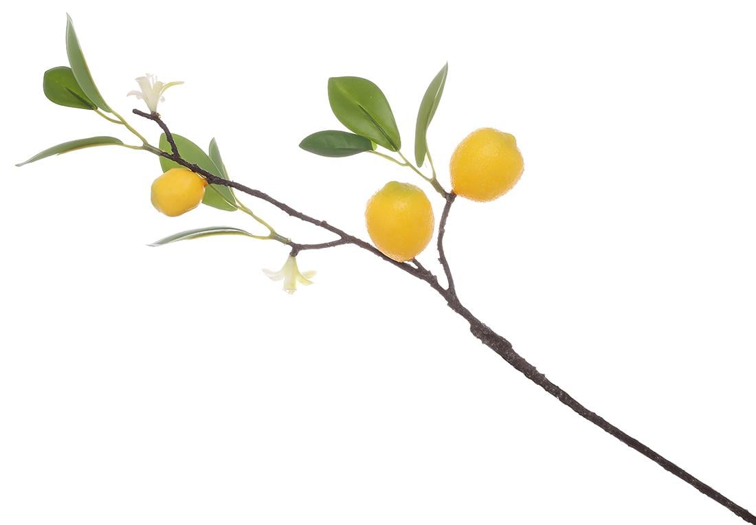 Декоративная ветвь BonaDi с соцветием и плодами лимона 46 см (119-025)