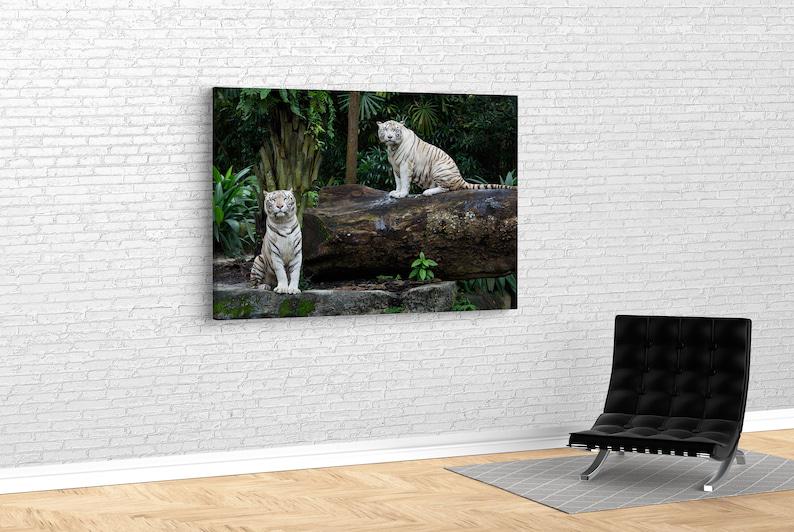 Картина для интерьера Белые тигры 120x80 см (548