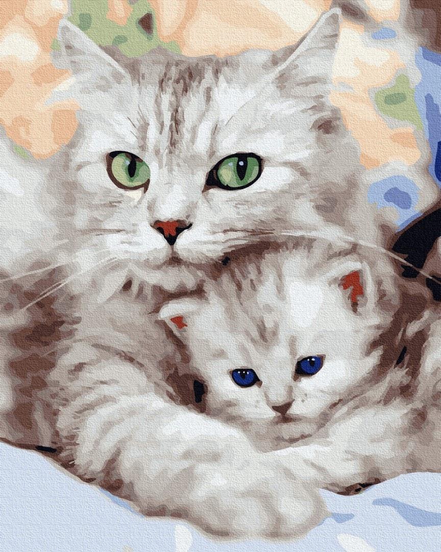 Картина по номерам Brushme GX36536 Мама кошка из котенка 40x50 см (1304558968)