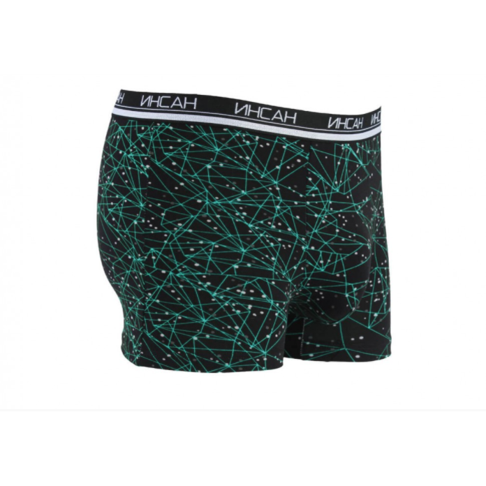 Мужские трусы ИНСАН Стрейчевые из бамбука 2XL Зеленый (18481)
