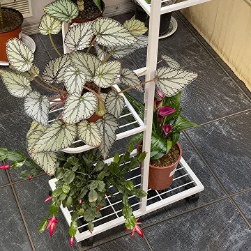 Подставка для растений 87х42х22 см (C01669) - фото 7 Подставка для растений 87х42х22 см (C01669) - фото 7