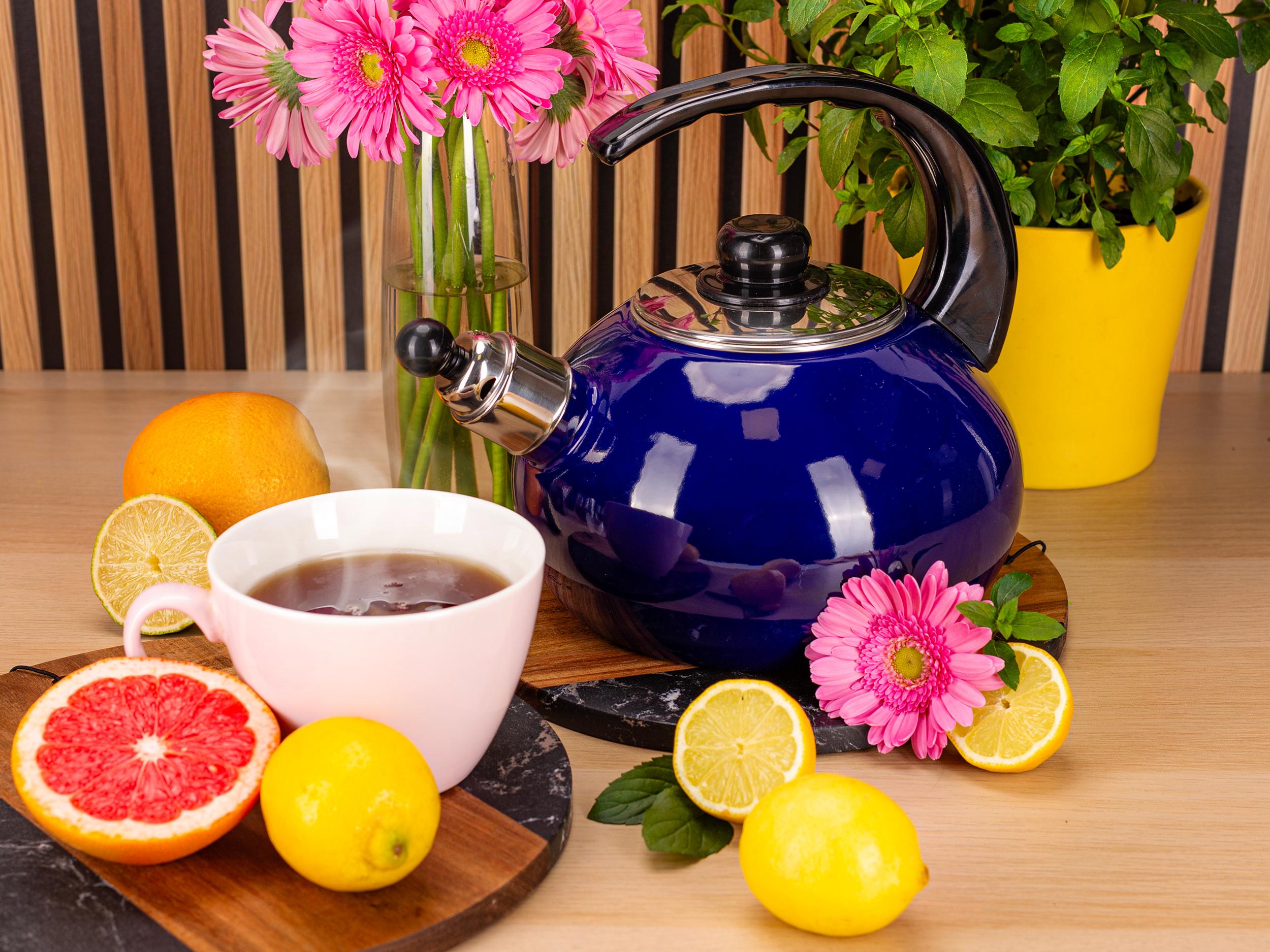 Чайник со свистком Kamille KM-1039С из эмалированной стали 2,5 л Синий (150-84-1039С) - фото 7