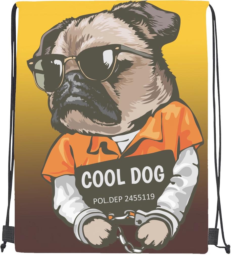 Мішок спортивний Cool Dog (20300489)