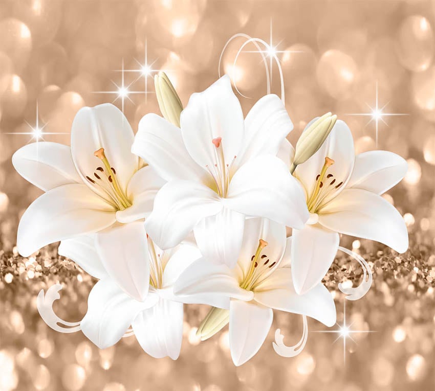 Фотообои WS Wallpaper Орхидеи 294x270 см (31278)