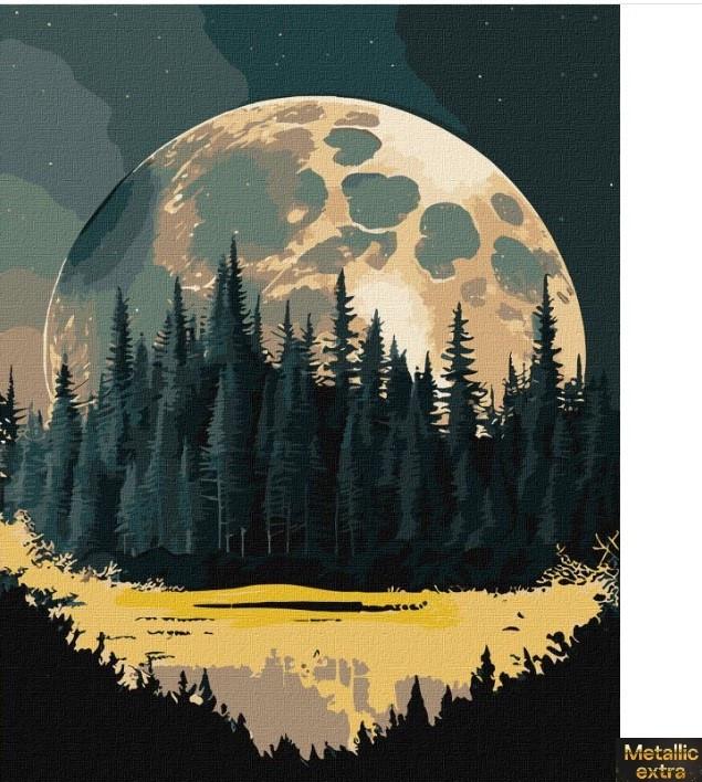 Картина по номерам Идейка Таинственный край extra 40х50 см (KHO5108)