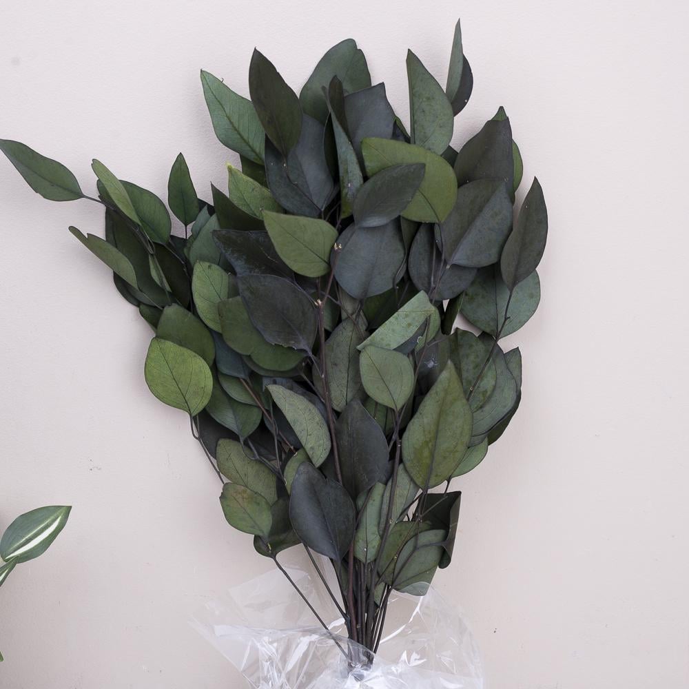 Сухоцвіт евкаліпт стабілізований (ST00204)