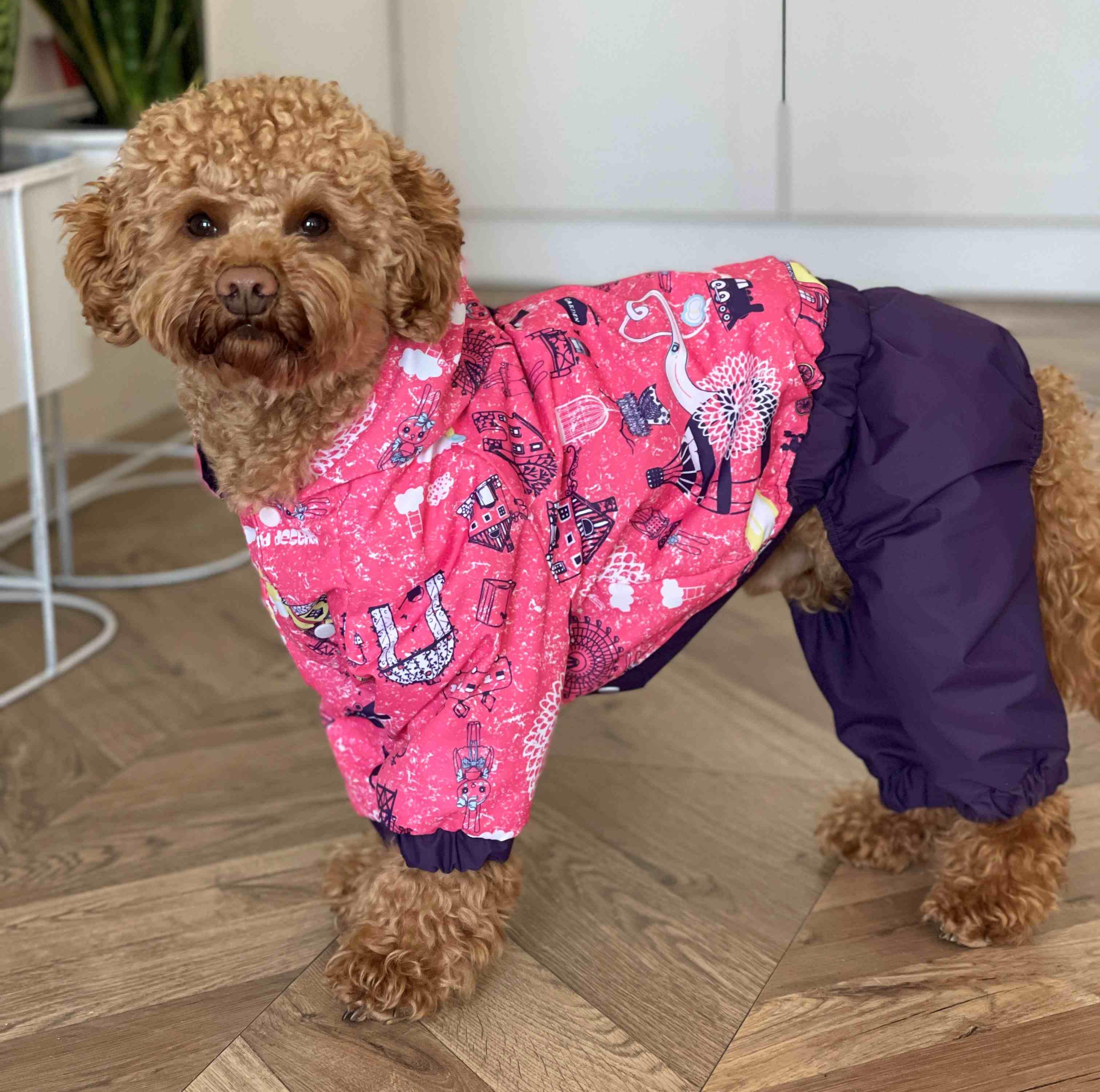 Дощовик для собак Dogs Bomba Париж M-91 р. 2 (70579667)