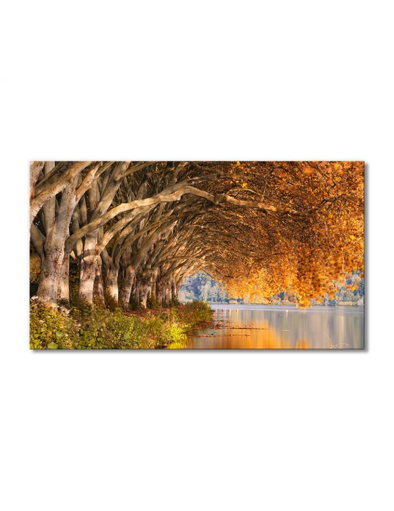 Картина модульная Пейзаж осенние деревья над рекой 1 модуль 80x120 см (135510Pejzazh0008)