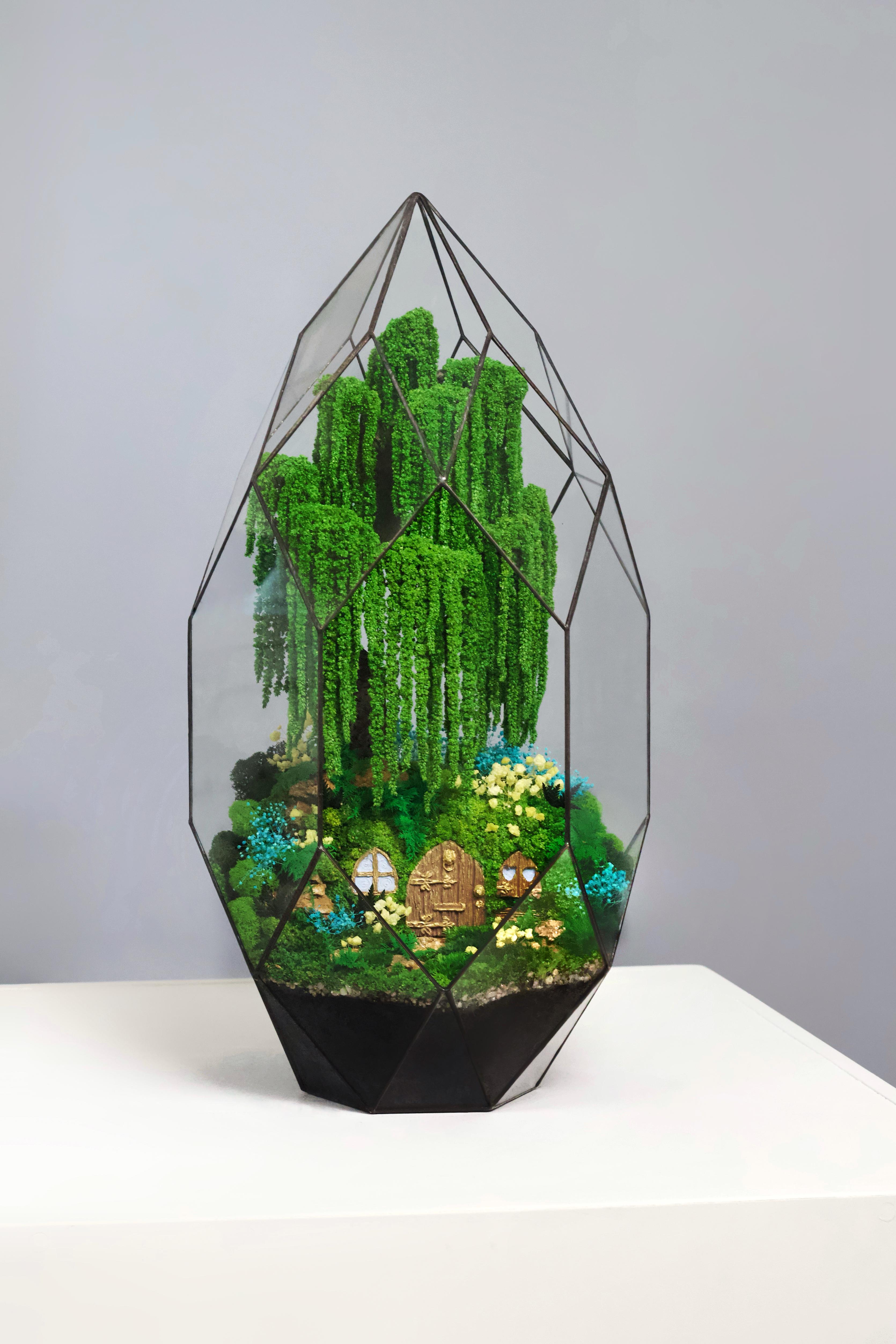 Мосариум Тайна сказочной ивы 55х30 см