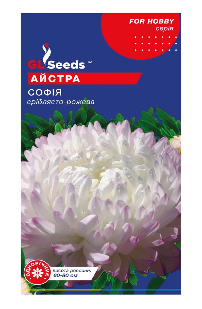 Семена цветов GL Seeds Астры София 0,3 г (4823096900643)