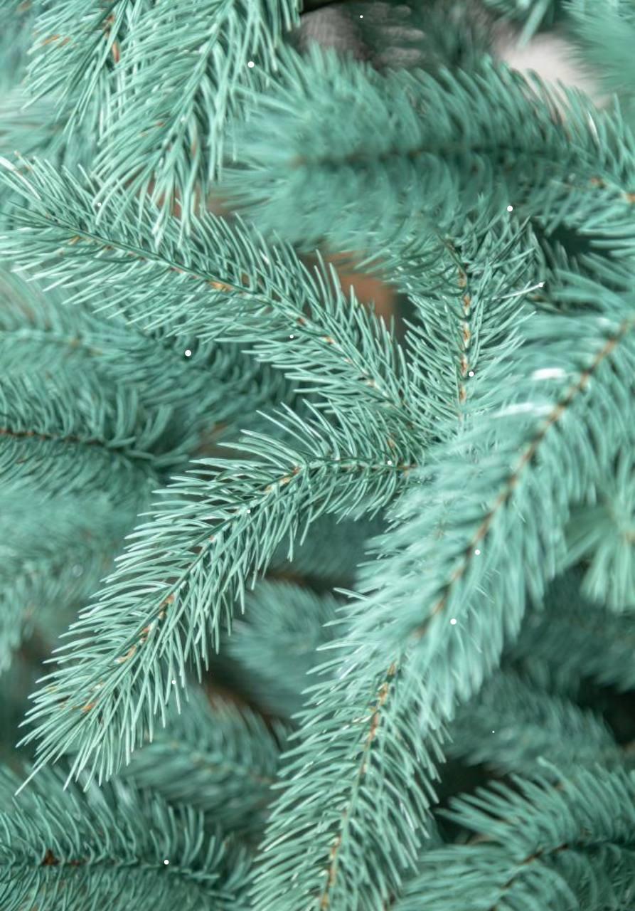 Штучна ялинка лита Буковельська з металевою підставкою 2,50 м Блакитний (NYT15123) - фото 4 Штучна ялинка лита Буковельська з металевою підставкою 2,50 м Блакитний (NYT15123) - фото 4