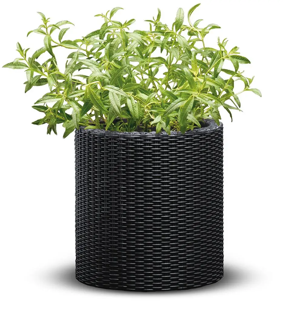 Вазон для уличных растений Keter Medium Cylinder Planter круглый 36х36 см (CNT00012162) Вазон для уличных растений Keter Medium Cylinder Planter круглый 36х36 см (CNT00012162)