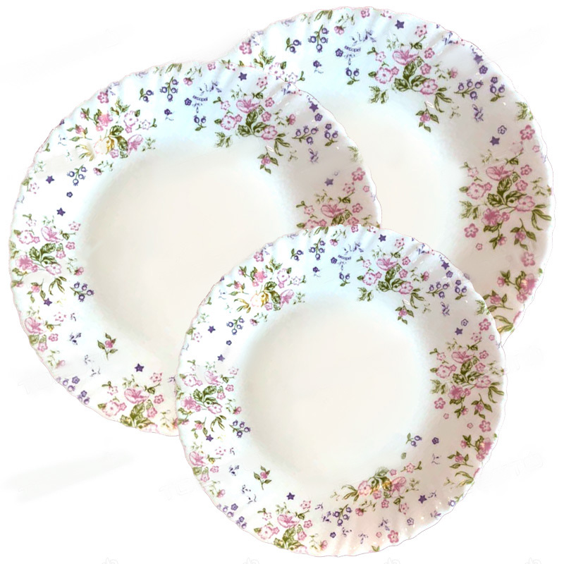 Столовый сервиз Arcopal Vaea Pink (N5113) 19 пр.