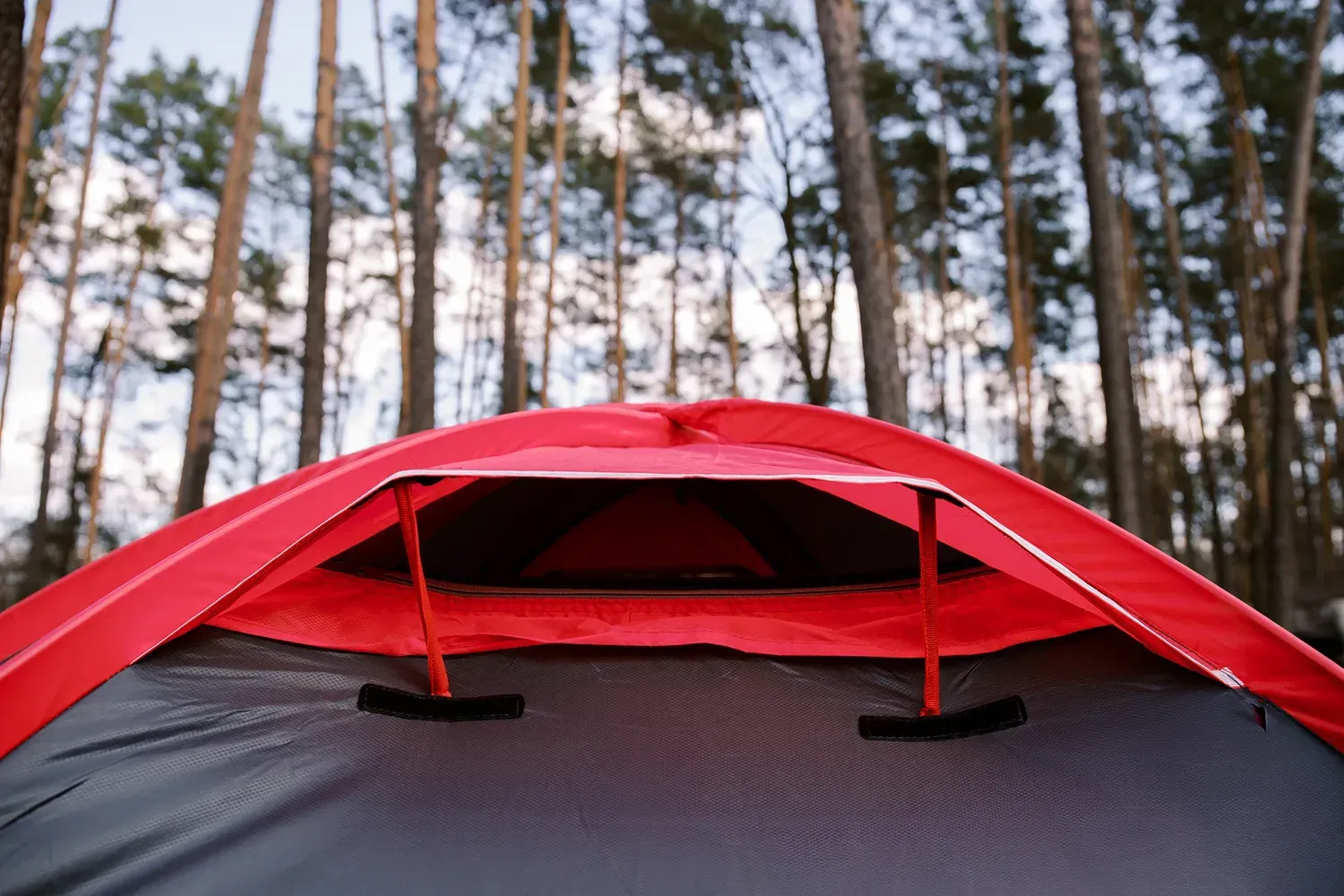 Палатка Tramp ROCK 3 V2 (TRT-028) - фото 29 Палатка Tramp ROCK 3 V2 (TRT-028) - фото 29