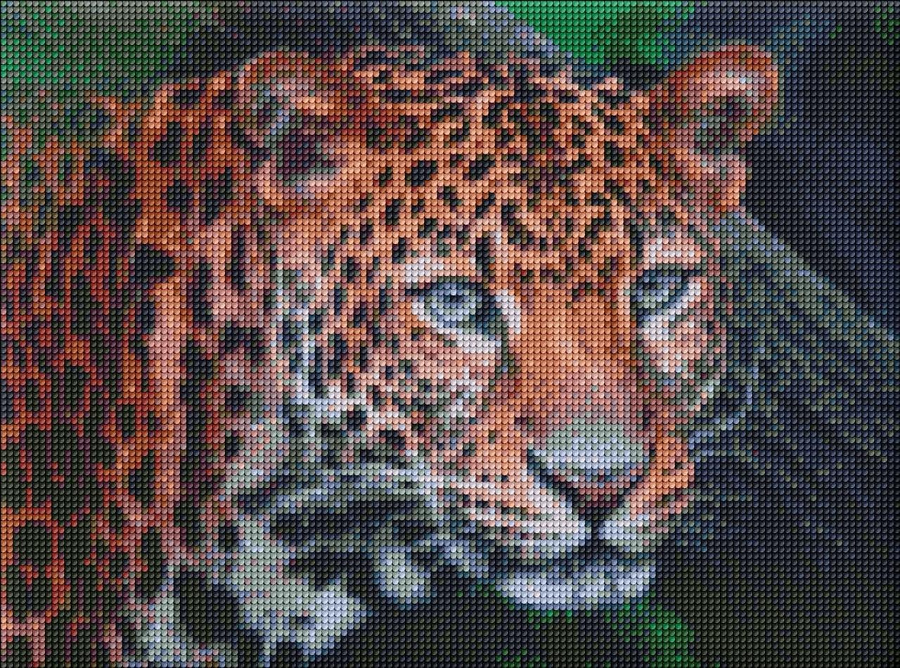 Мозаика алмазная/вышивка Дикий взгляд леопарда 30x40 см (AMO7203)