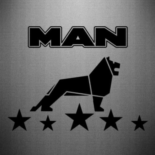 Наклейка Man lion and stars 45x33,6 см Черный (21563107) Наклейка Man lion and stars 45x33,6 см Черный (21563107)
